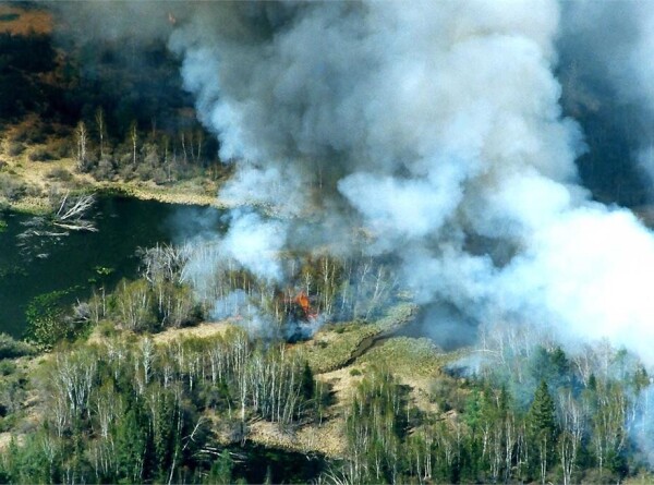 Более 100 лесных пожаров площадью 370 тысяч гектаров тушат в Якутии