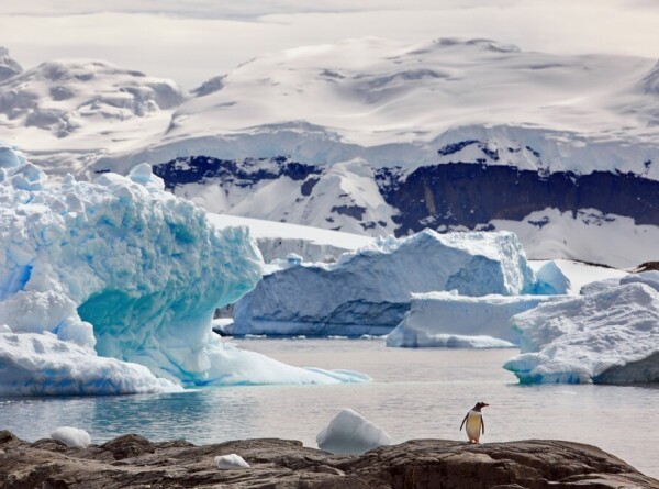 Следы древней реки длиной 1500 км нашли в Антарктиде