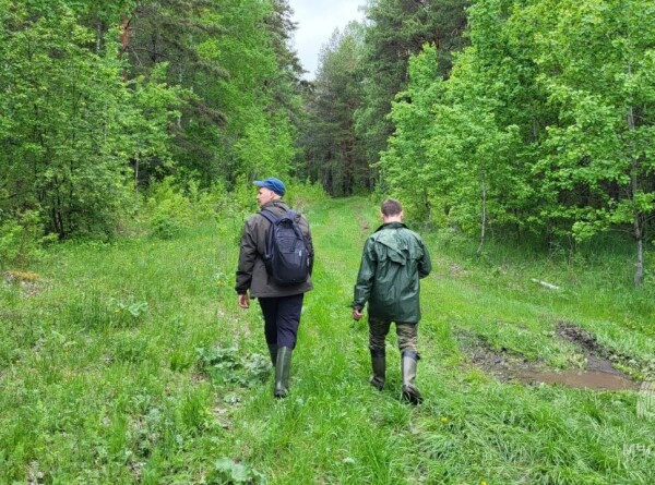 Пропавших в лесу детей нашли на четвертый день поисков в Свердловской области