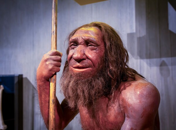 Первый случай синдрома Дауна у неандертальцев описали ученые