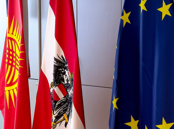 Кыргызстан и Австрия намерены расширять прямые контакты в сфере бизнеса