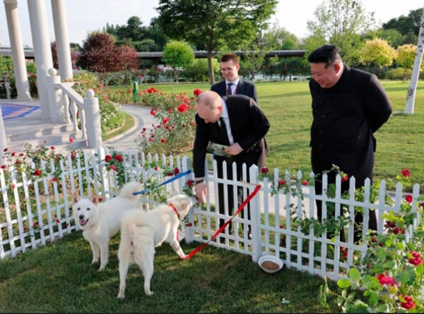 Раскрыто значение собак, подаренных Путину в КНДР