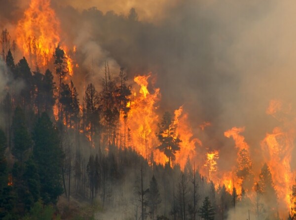 Пожары в Турции: туристы из окон номеров видели горящие леса