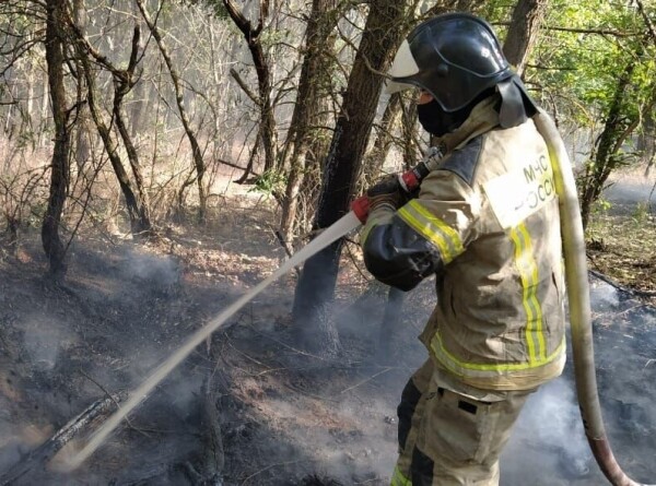 Природный пожар локализовали в Ростовской области