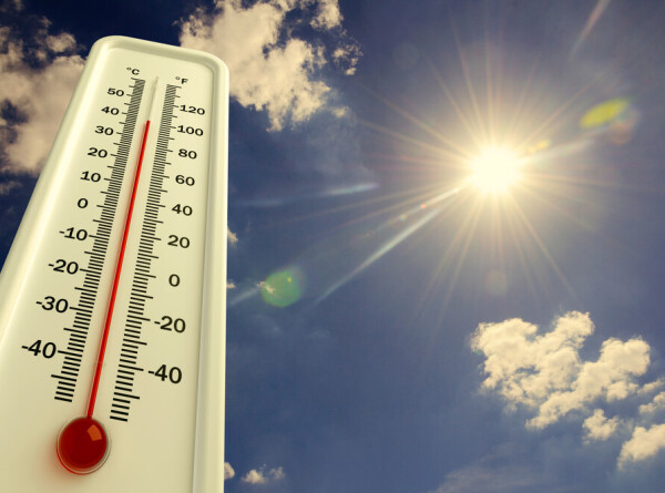 Май 2024 года признали самым жарким за всю историю наблюдений