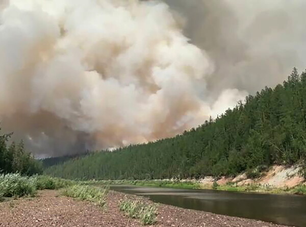 Пожары в Якутии: около 600 тысяч гектаров леса охватил огонь