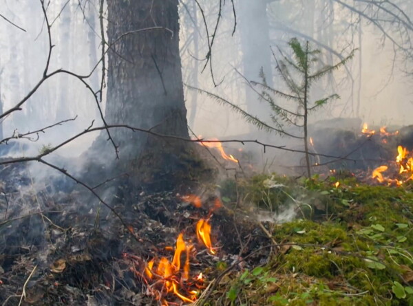 Площадь лесных пожаров в Бурятии за сутки выросла почти до 36 тысяч гектаров