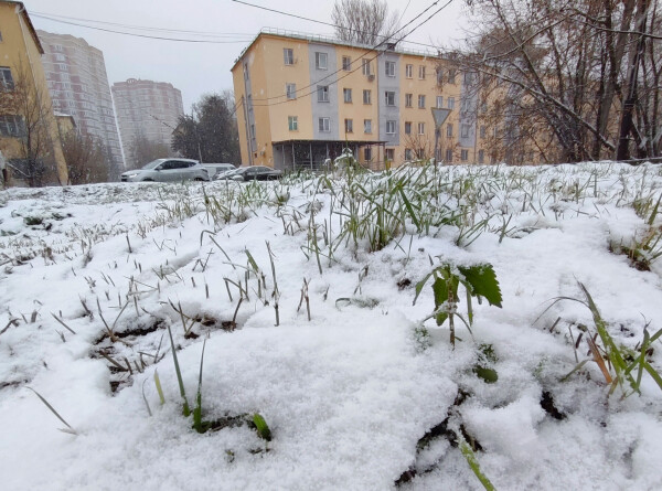Двухчасовой снегопад прошел на Ставрополье