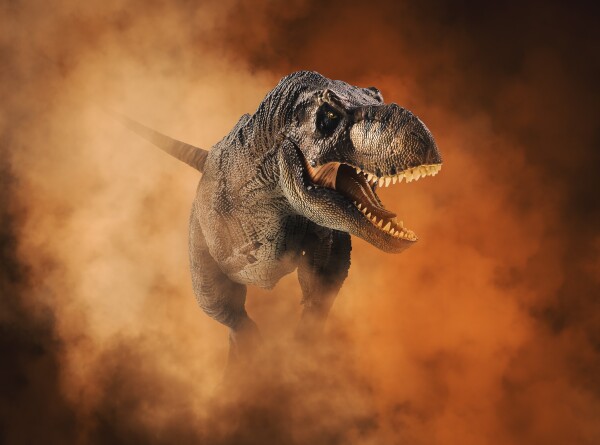 Гипотезу о развитом интеллекте тираннозавров оспорили палеонтологи