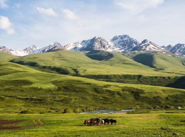 Зиплайн, рафтинг и кумысолечение: пять причин поехать в Кыргызстан в мае