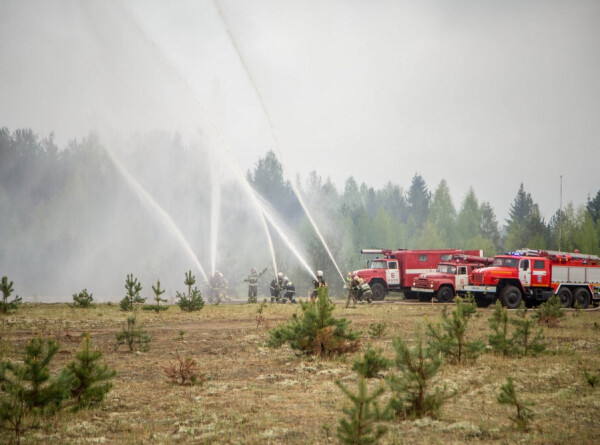 Природные пожары в России: какие штрафы грозят за пикник и сжигание травы?