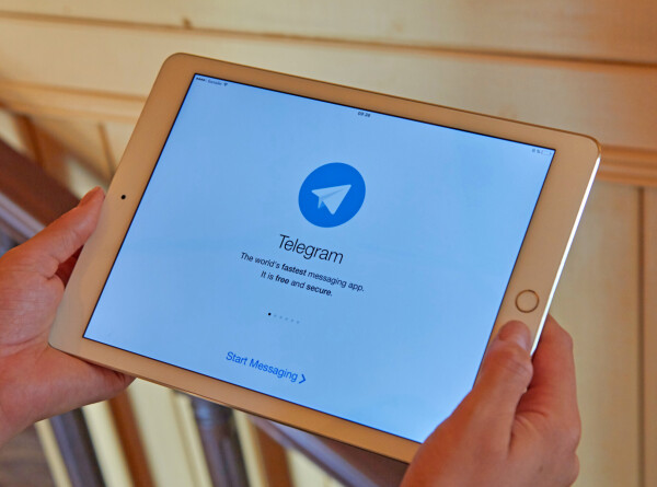 Мать троих детей Дурова назвала Telegram совместно нажитым имуществом